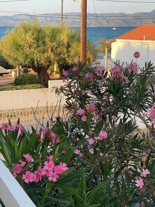 Chris View Villa Kato Assos Luaran gambar